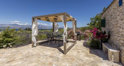 House Magical Island