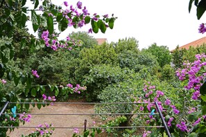 Blick auf den Garten
