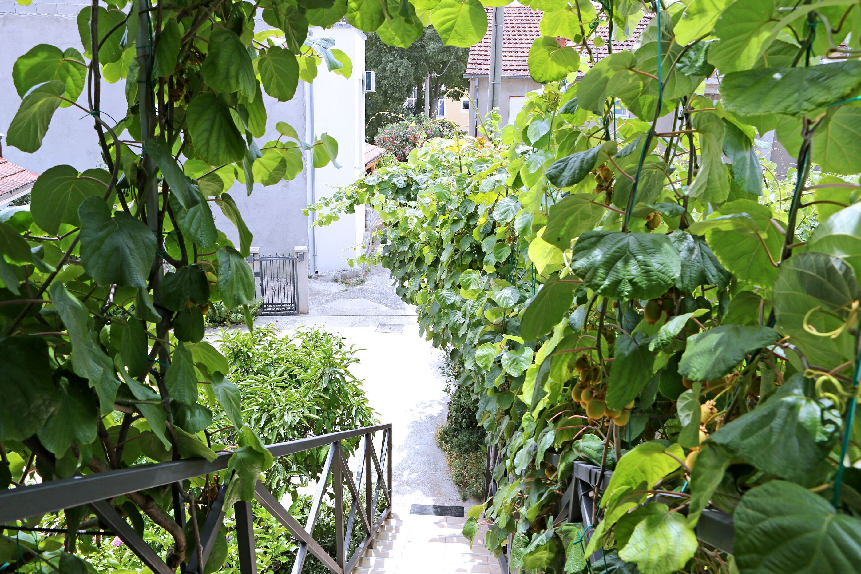 A narrow pathway flanked by lush green plants and a metal railing, leading to a building with a tiled roof.