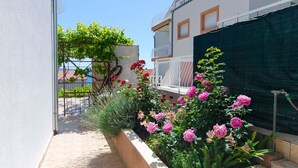 A residential building with a balcony, a garden with pink flowers, and a metal fence. - Apartment Marija (Podstrana)