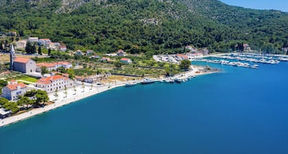 Apartments Davor