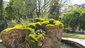 A moss-covered rock formation with turtles, surrounded by greenery and a water feature. - Apartment Golden Sunset (Sibenik)