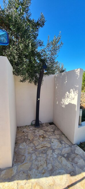 A tree grows against the building's wall, surrounded by a stone floor and a white wall.