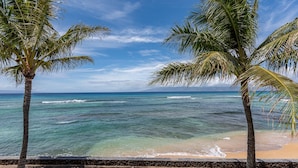 A beach with palm trees and ocean waves. - Simply Stunning Condo, C202 is one of of the best! (Lahaina)