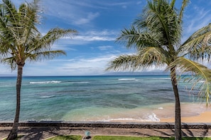A beach with palm trees and ocean waves. - Simply Stunning Condo, C202 is one of of the best! (Lahaina)