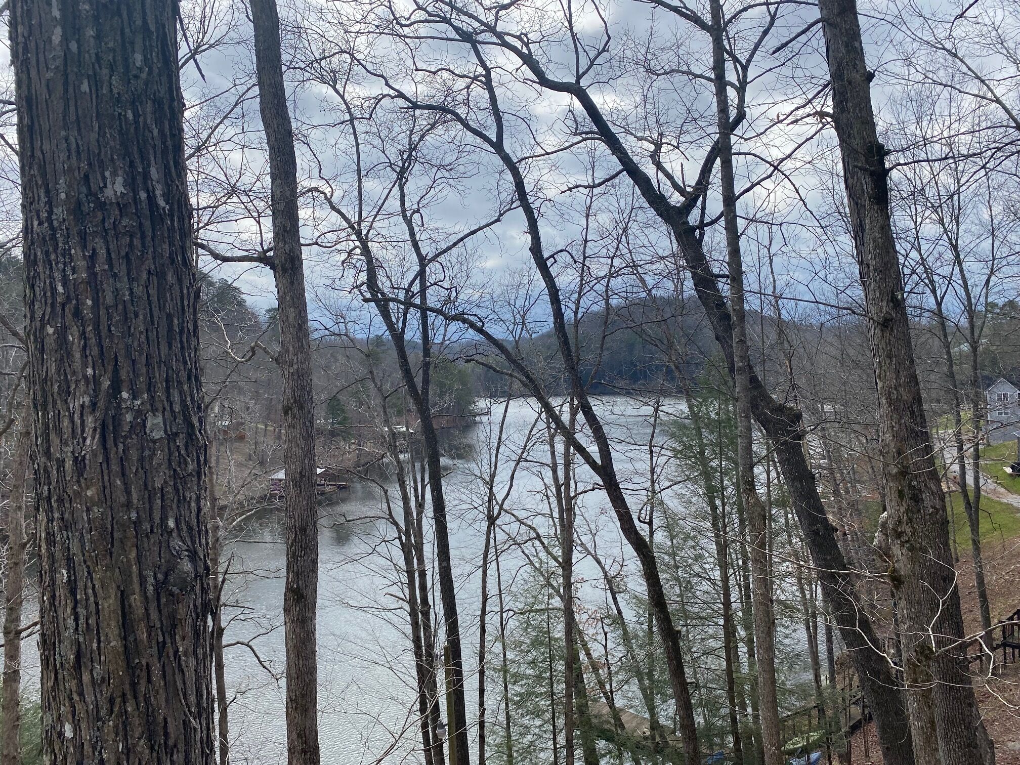 Cabin on wood Creek lake, with large deck.