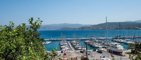 Marina