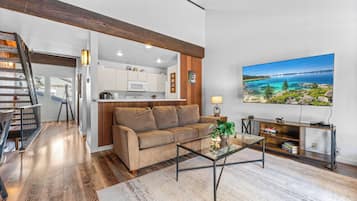 TV, fireplace, DVD player, books