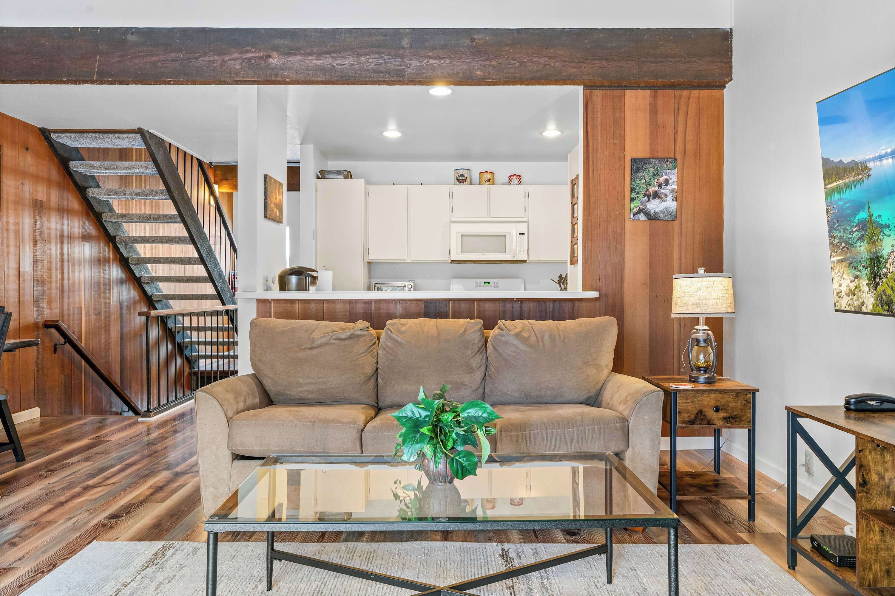 TV, fireplace, DVD player, books