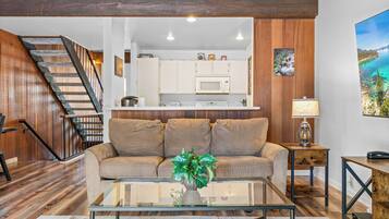 TV, fireplace, DVD player, books