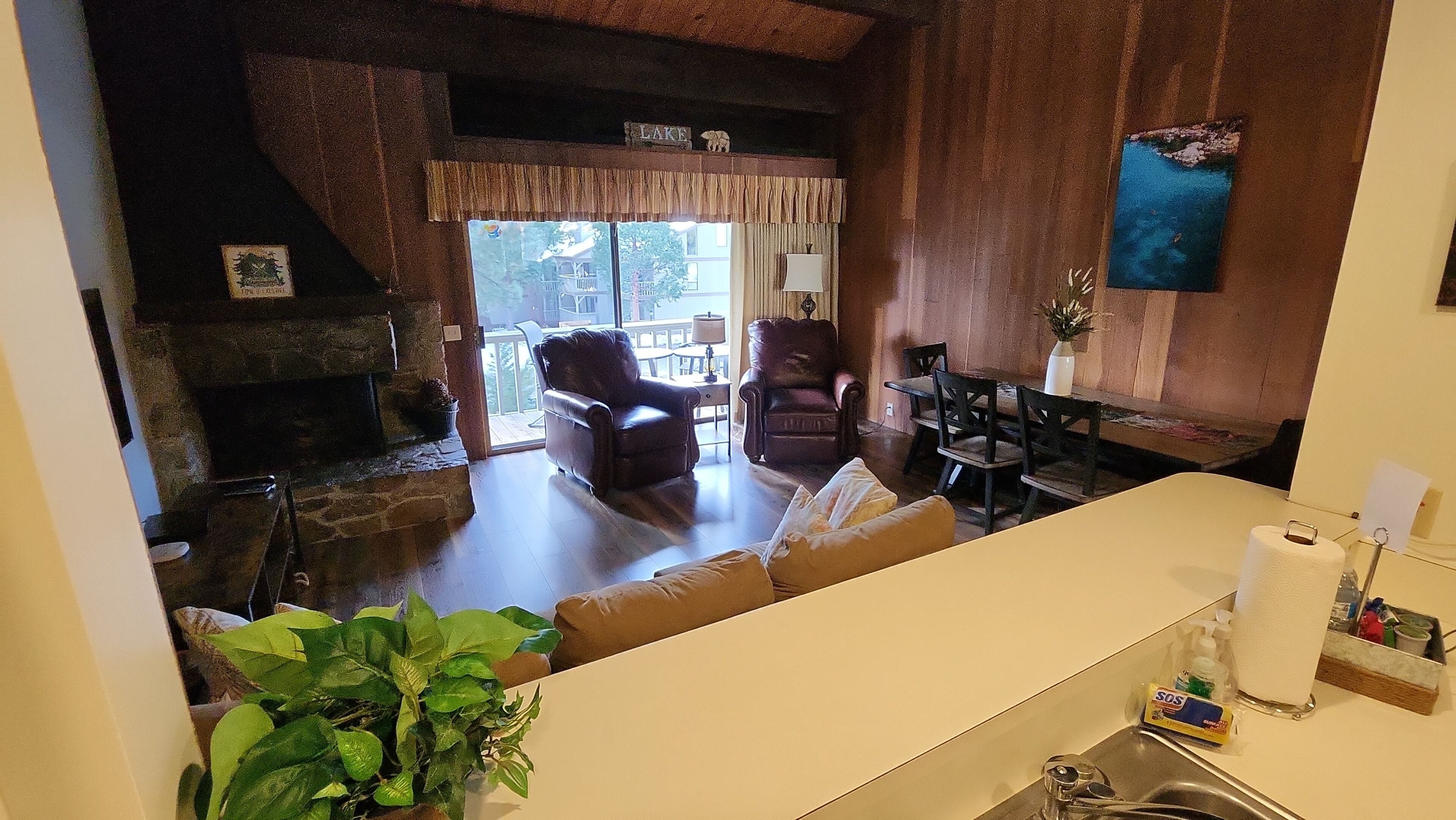 TV, fireplace, DVD player, books