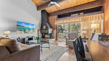 TV, fireplace, DVD player, books