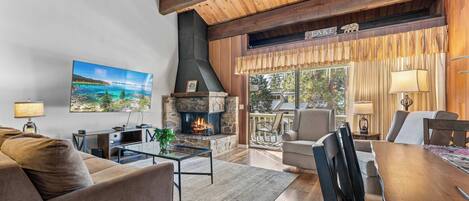 TV, fireplace, DVD player, books