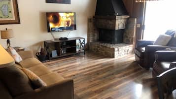 Televisión, chimenea, reproductor de DVD, libros