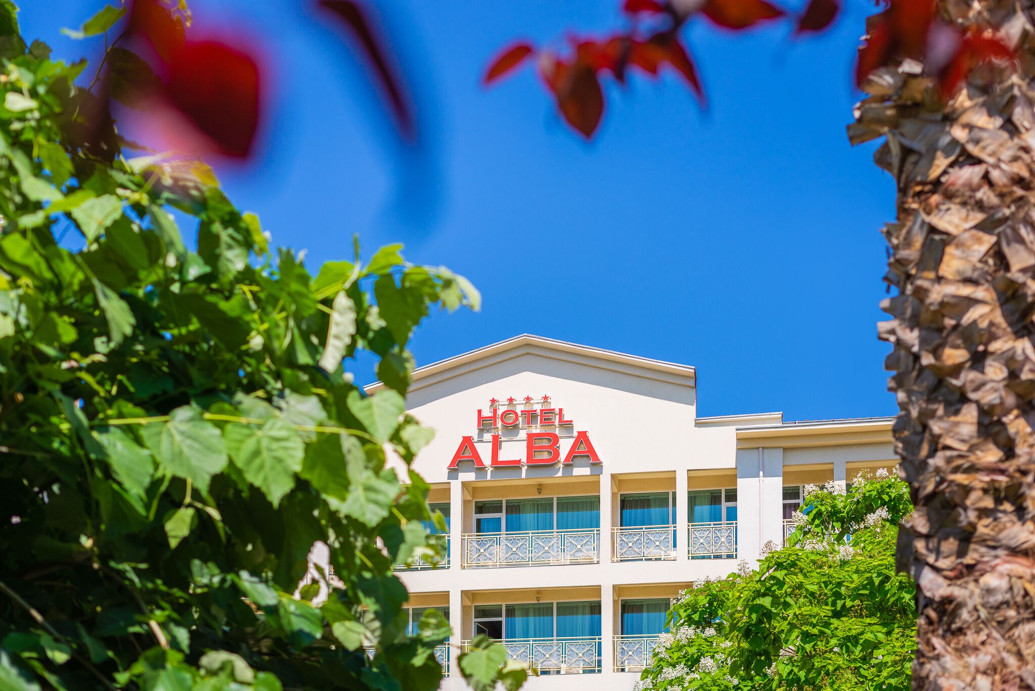 Foto - Hotel Alba - All Inclusive