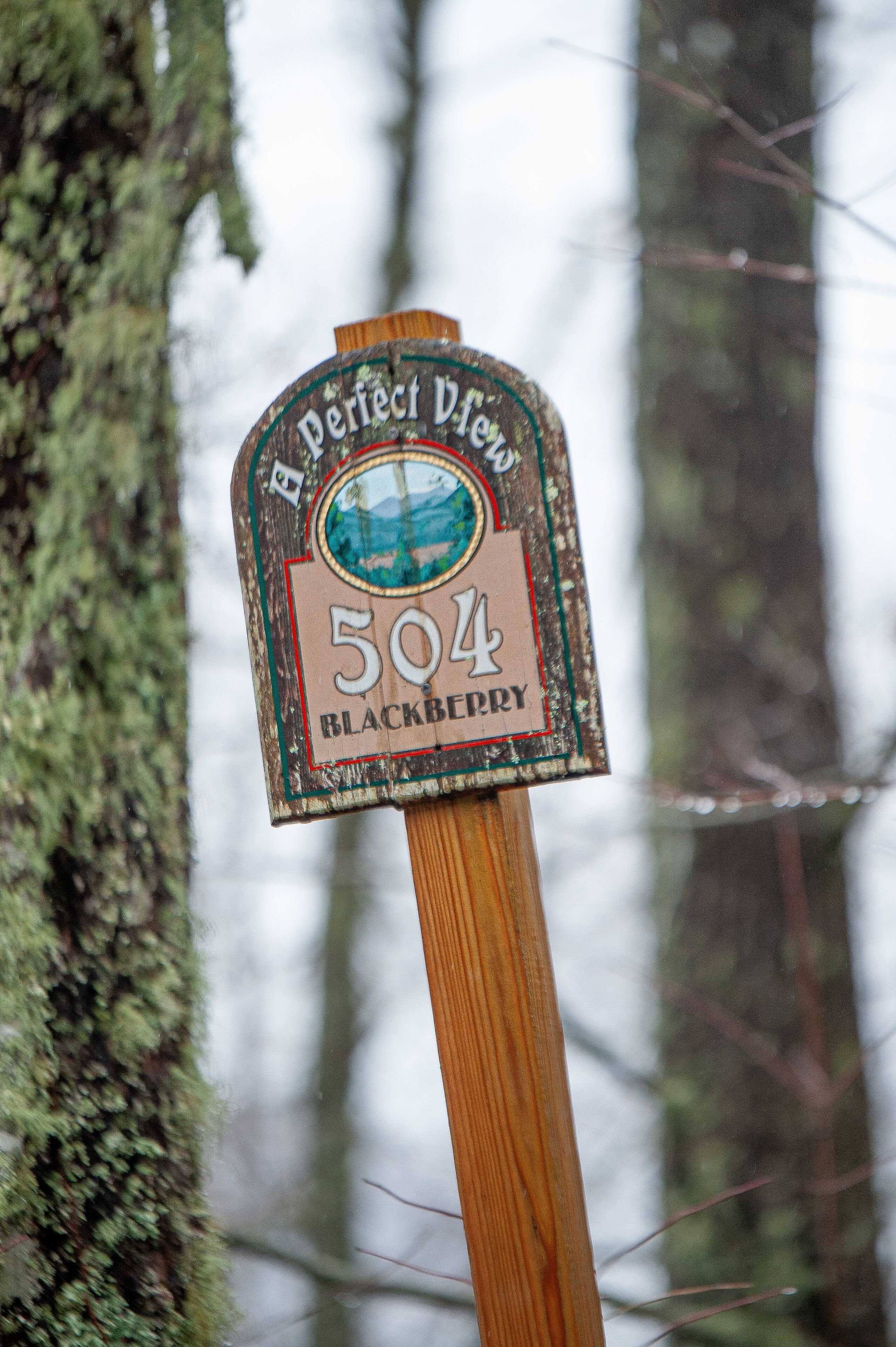 Une plaque en bois portant l’inscription : « Perfect Drive 504 Blackberry ».
