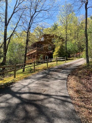 Property grounds - A Perfect View! Dog Friendly Cabin at The Top of The Mountain! (Rabun Gap)