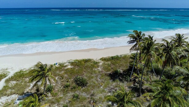 Ein Strand mit klarem türkisblauem Wasser, sandigem Ufer und Palmen.