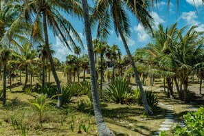 Áreas de la propiedad