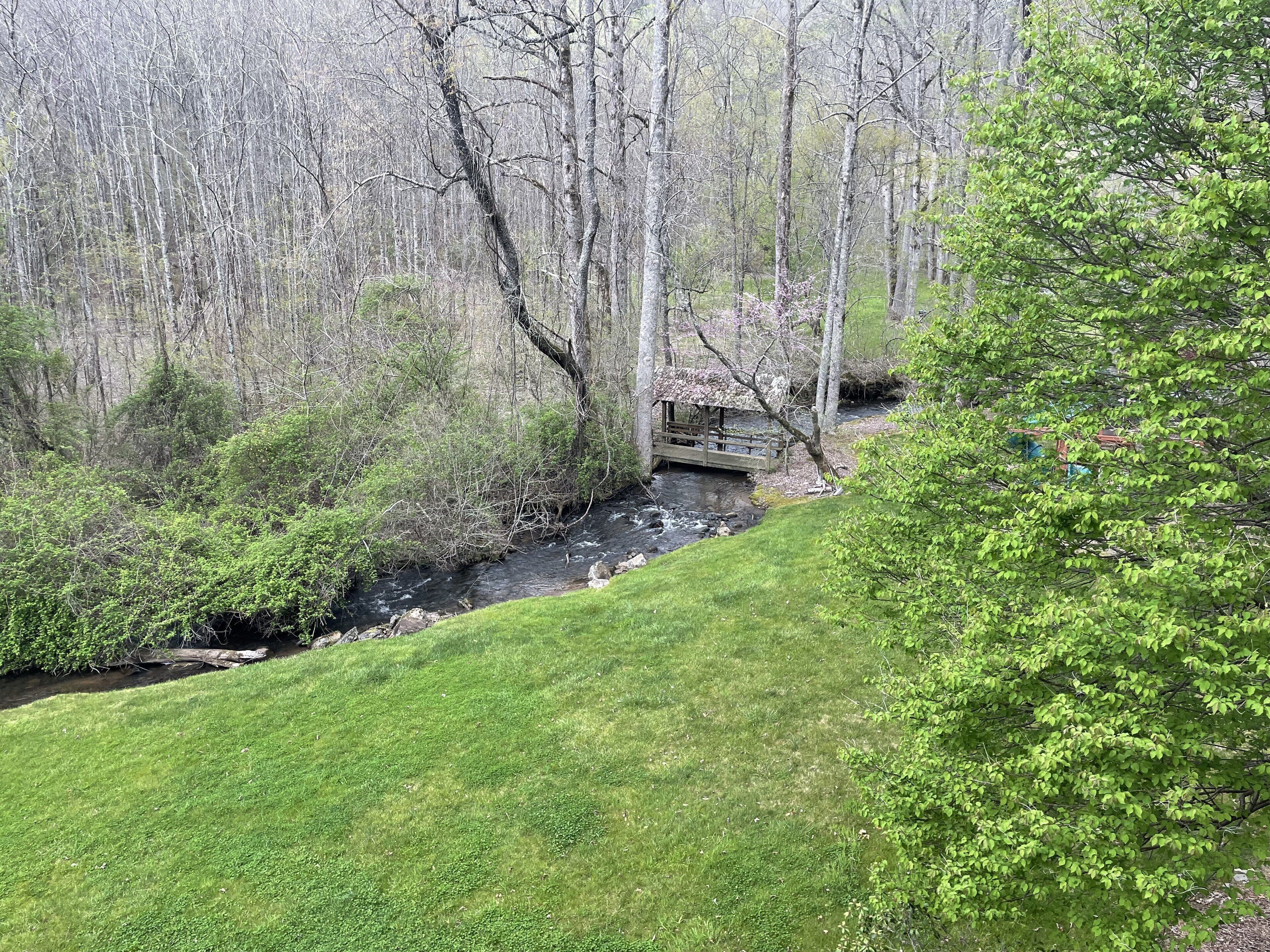 Un'area erbosa con un piccolo ponte su un ruscello, circondata da alberi e cespugli.