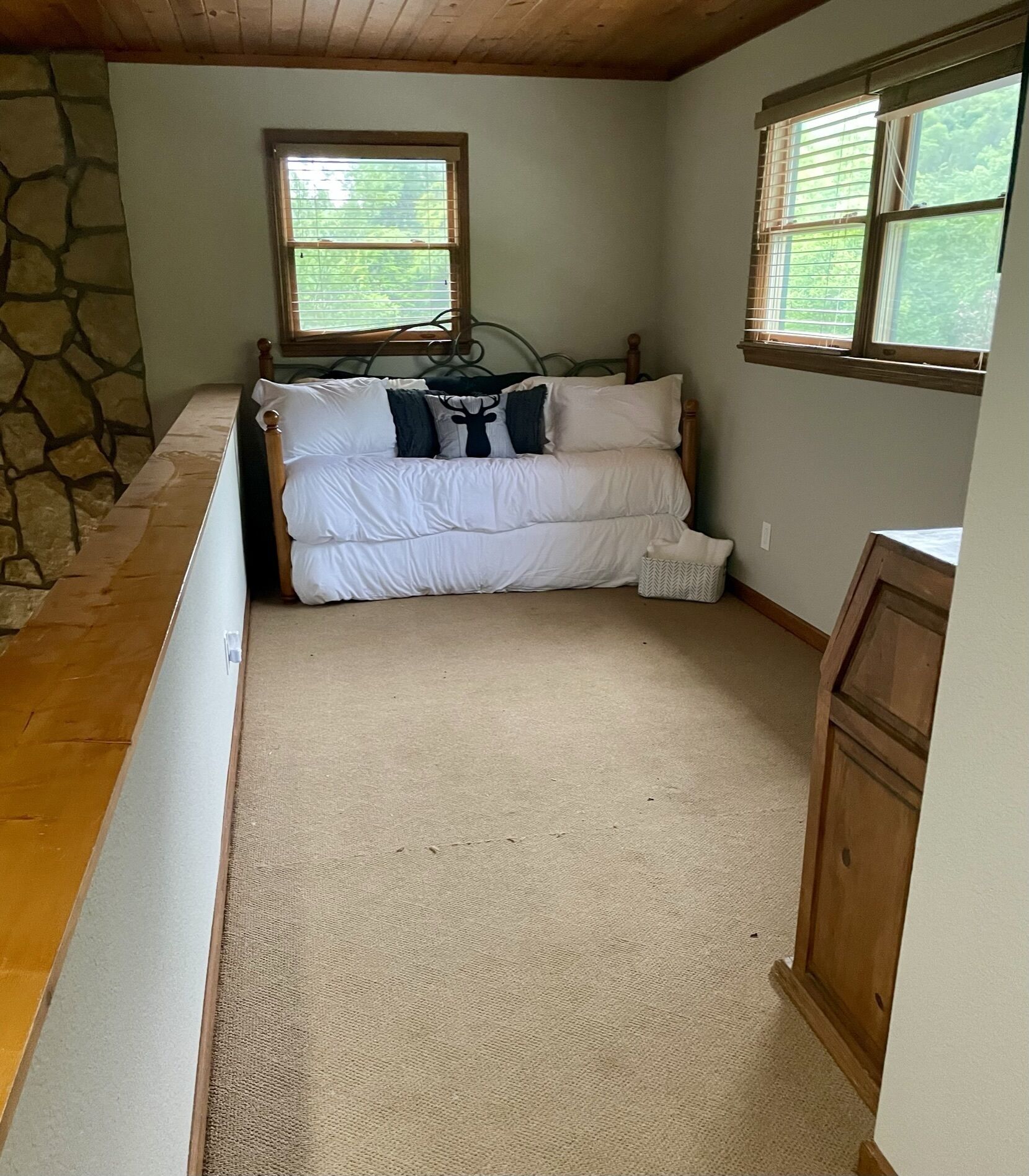 North GA Mountain Paradise Natural Swimming Pool and Stream