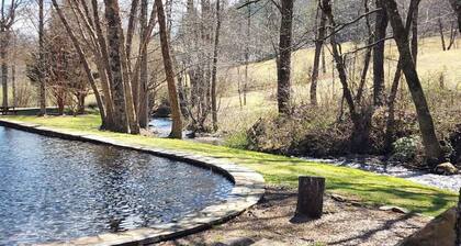 North GA Mountain Paradise Natural Swimming Pool and Stream