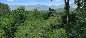 Cozy Mountain View Chalet