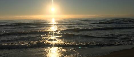 Apartment, Mehrere Betten | Strand