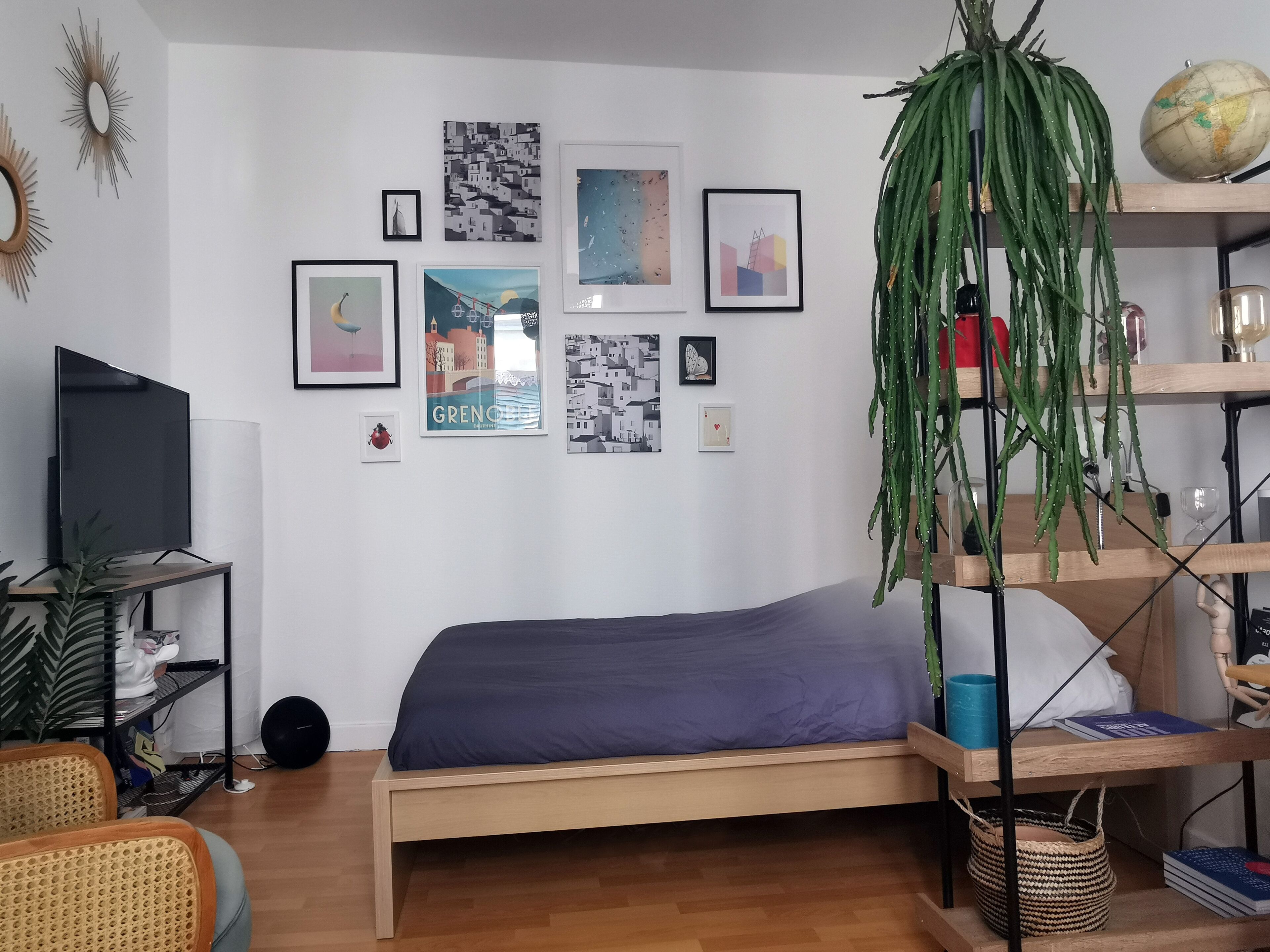 Grenoble city center: The central