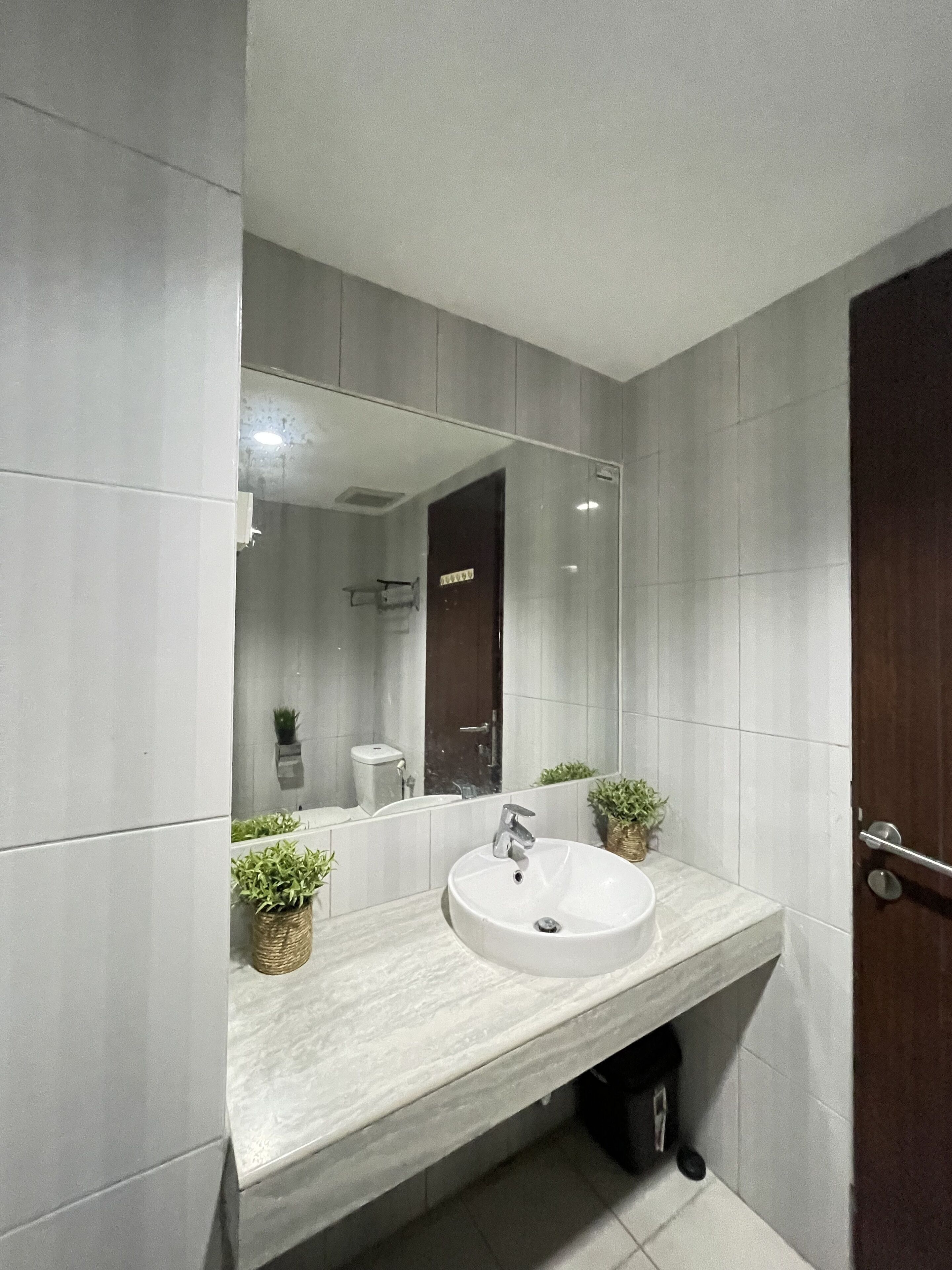 Une salle de bain moderne avec un grand miroir, un lavabo blanc et deux plantes en pot.