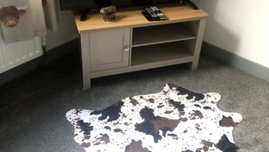 Huoneessa on suuri, litteänäyttöinen televisio, joka on sijoitettu puiseen jalustaan, lattialla on lehmännahkamatto ja seinässä on patteri, jonka edessä on verhot.
