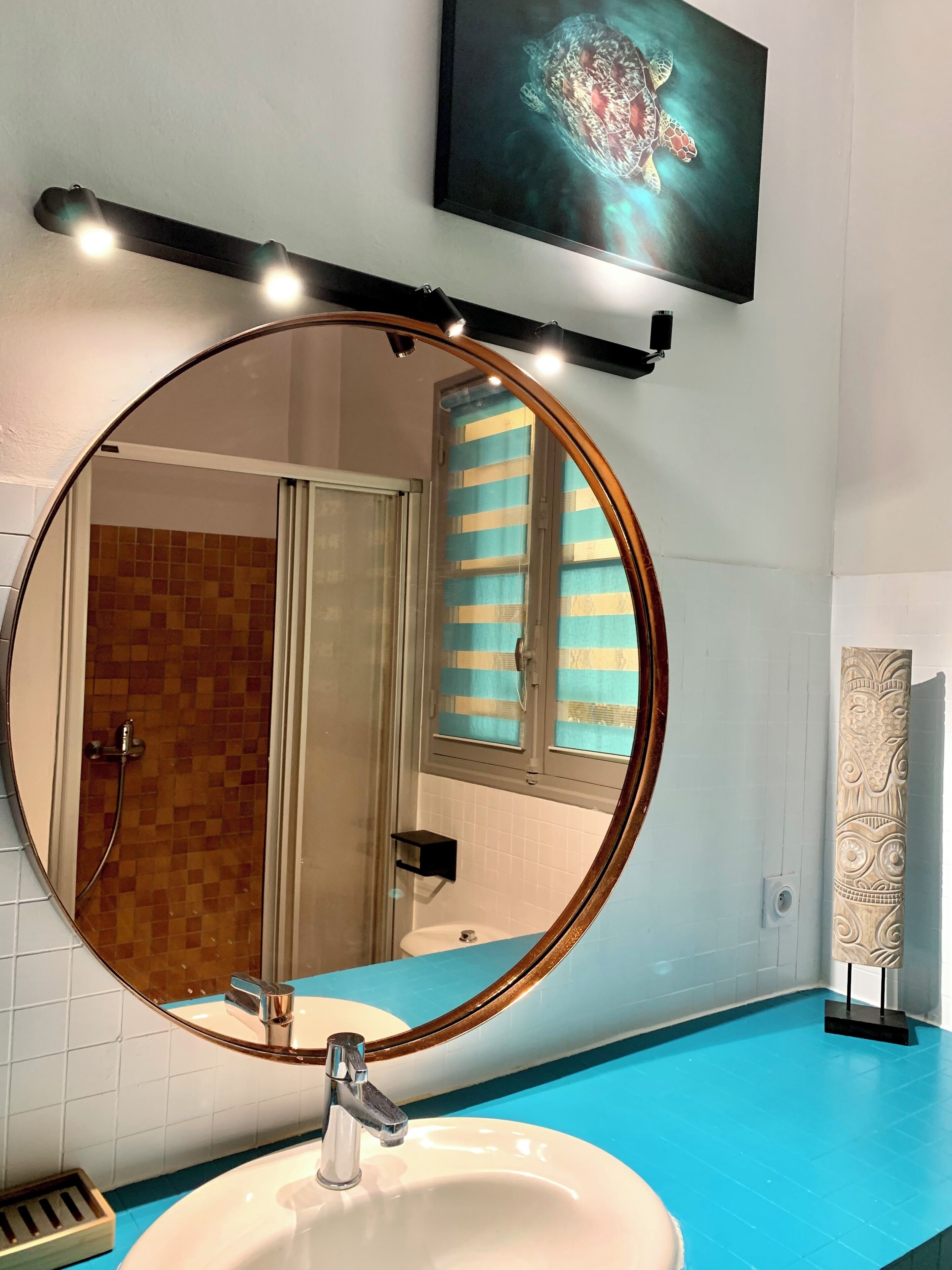 Shower, hair dryer