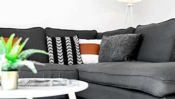 Télévision, Netflix, services de streaming