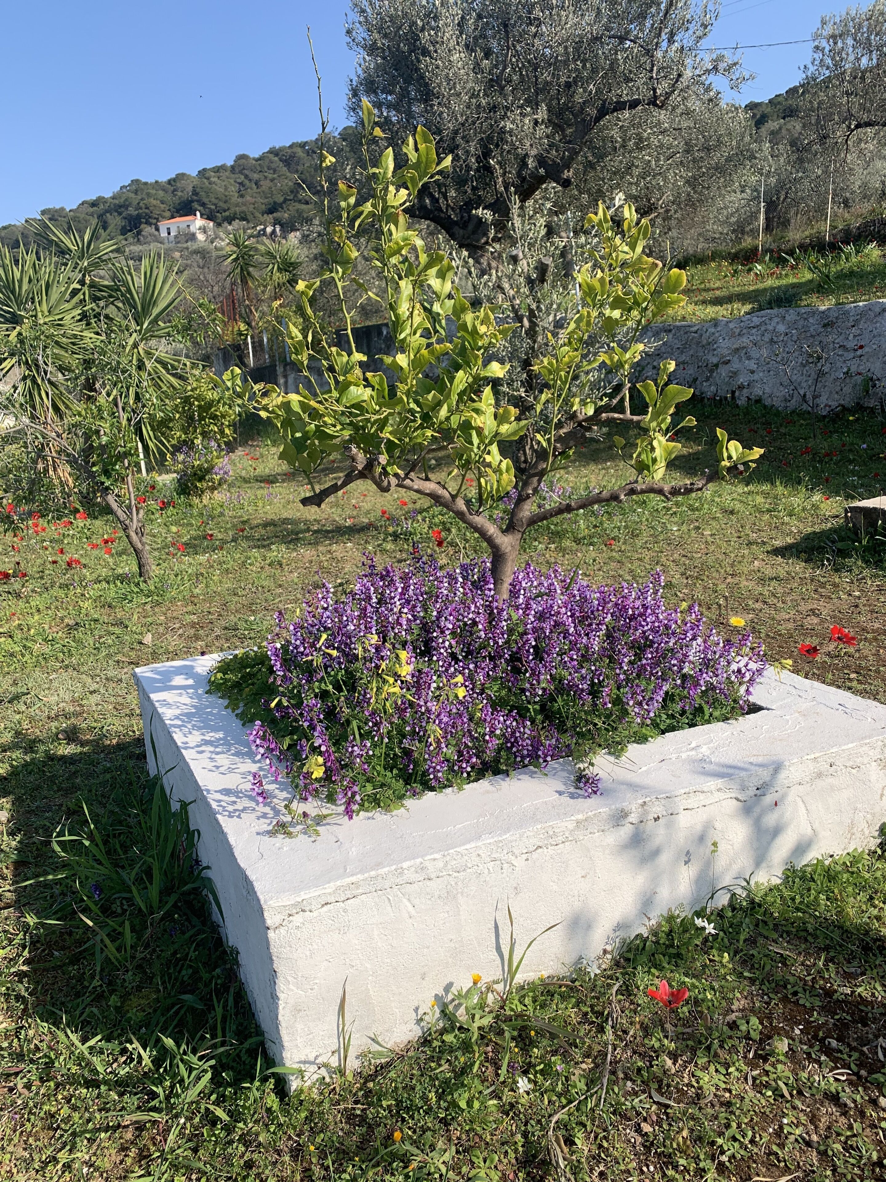 Overnatningsstedets område