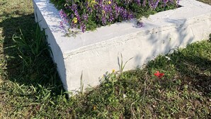 En have med et træ og lilla blomster i en betonkumpe.