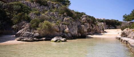 بالقرب من الشاطئ