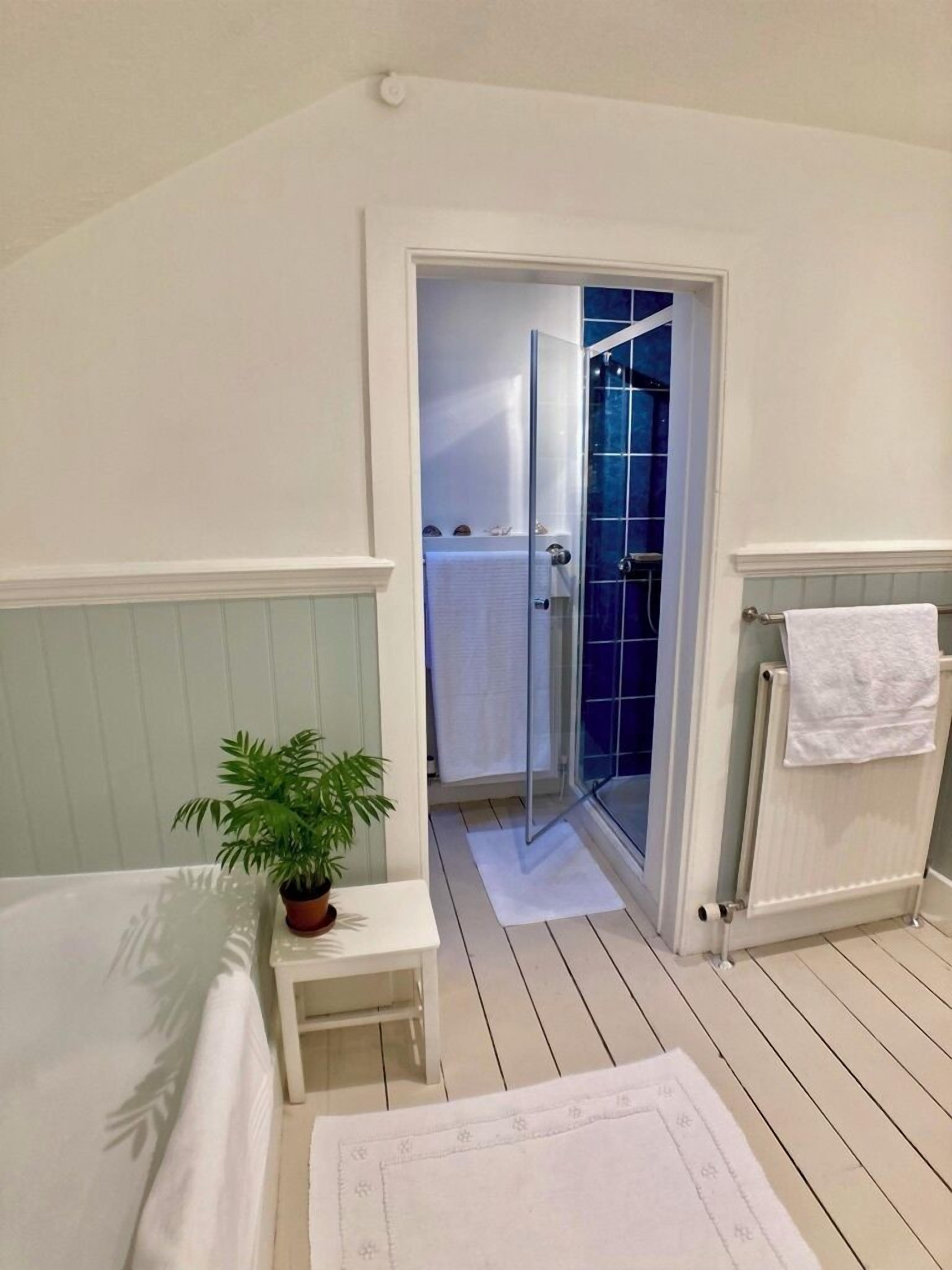 Bathtub, hair dryer, towels, soap