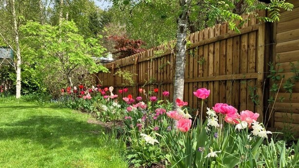 Un jardín con cerca de madera, diversas flores y un árbol.