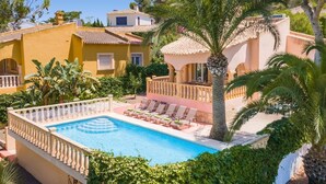 Un área de piscina con sillones de descanso y una palmera.