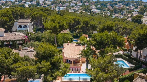 Zona residencial con casas, piscina y abundante vegetación.