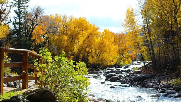 A wooden bridge over a rocky stream in a forest with autumn-colored trees. - Renovated Condo steps from the Beaver Creek shuttle! (Avon)