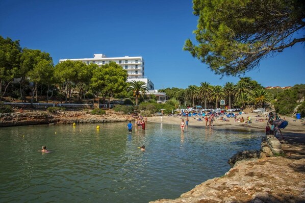 Playa en los alrededores 