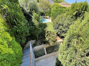 A lush garden with a swimming pool, surrounded by dense greenery and a stone pathway.