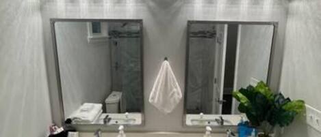 A bathroom with two sinks, a large mirror, and a potted plant.