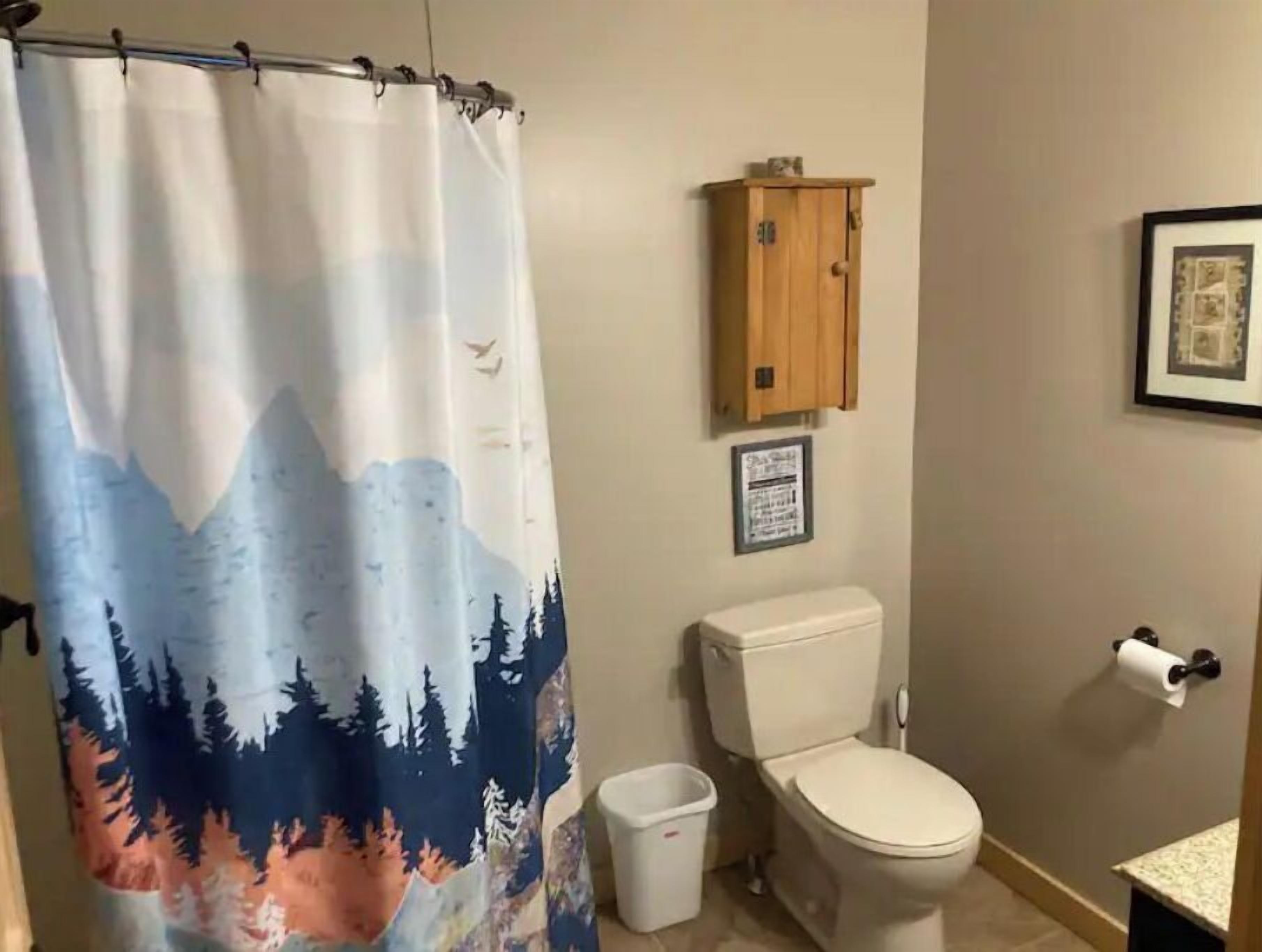 A bathroom with a shower curtain featuring a mountain landscape, a toilet, a cabinet, and a framed sign on the wall.