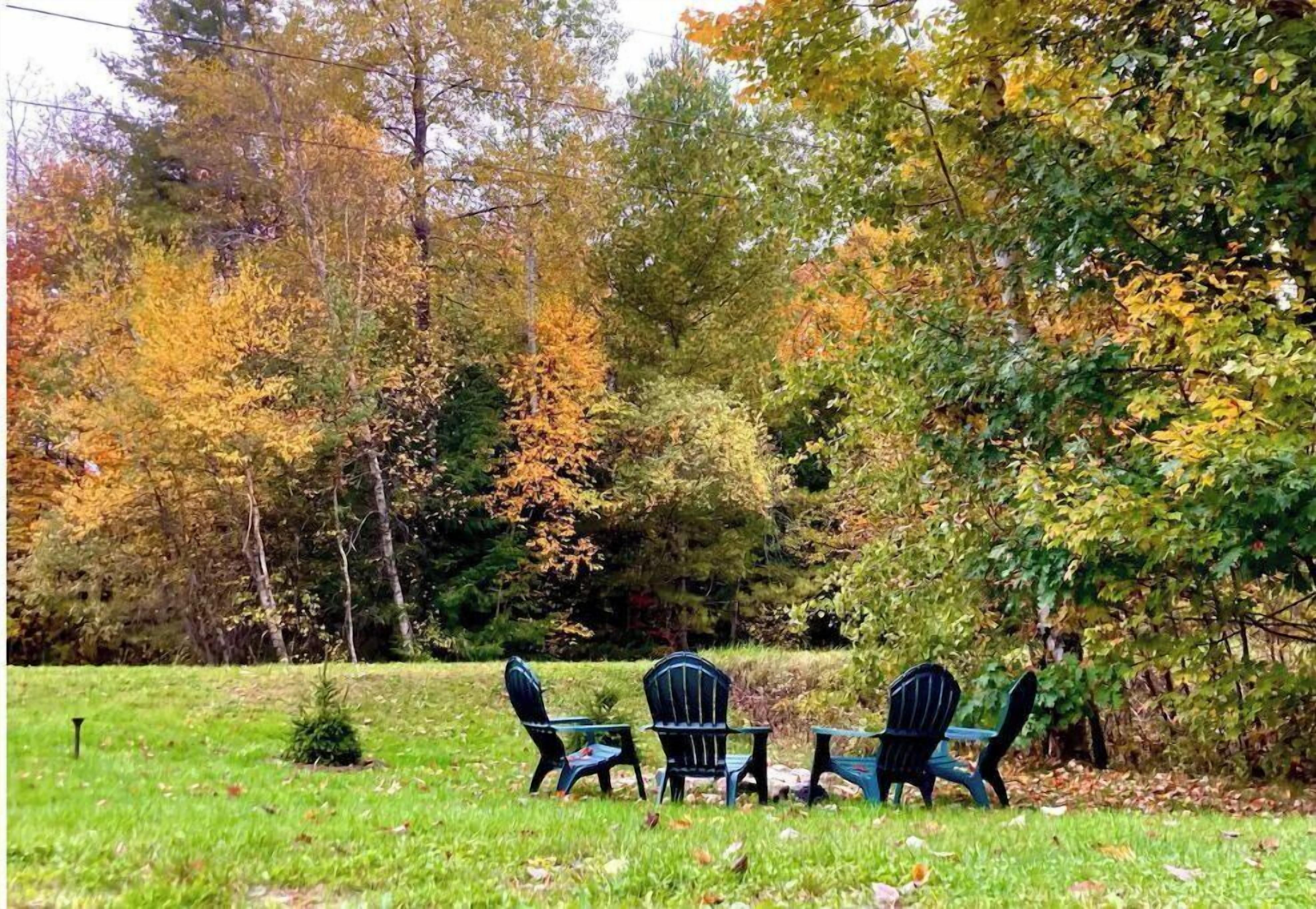 Ein Garten mit drei Adirondack-Stühlen und einem kleinen Tisch, umgeben von Bäumen mit Herbstlaub.