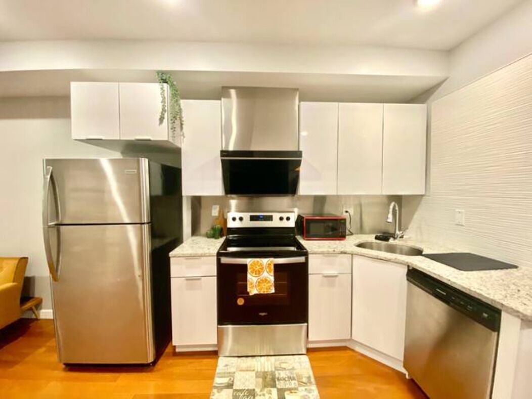 Brand New Center City Loft Apts - Apt 3