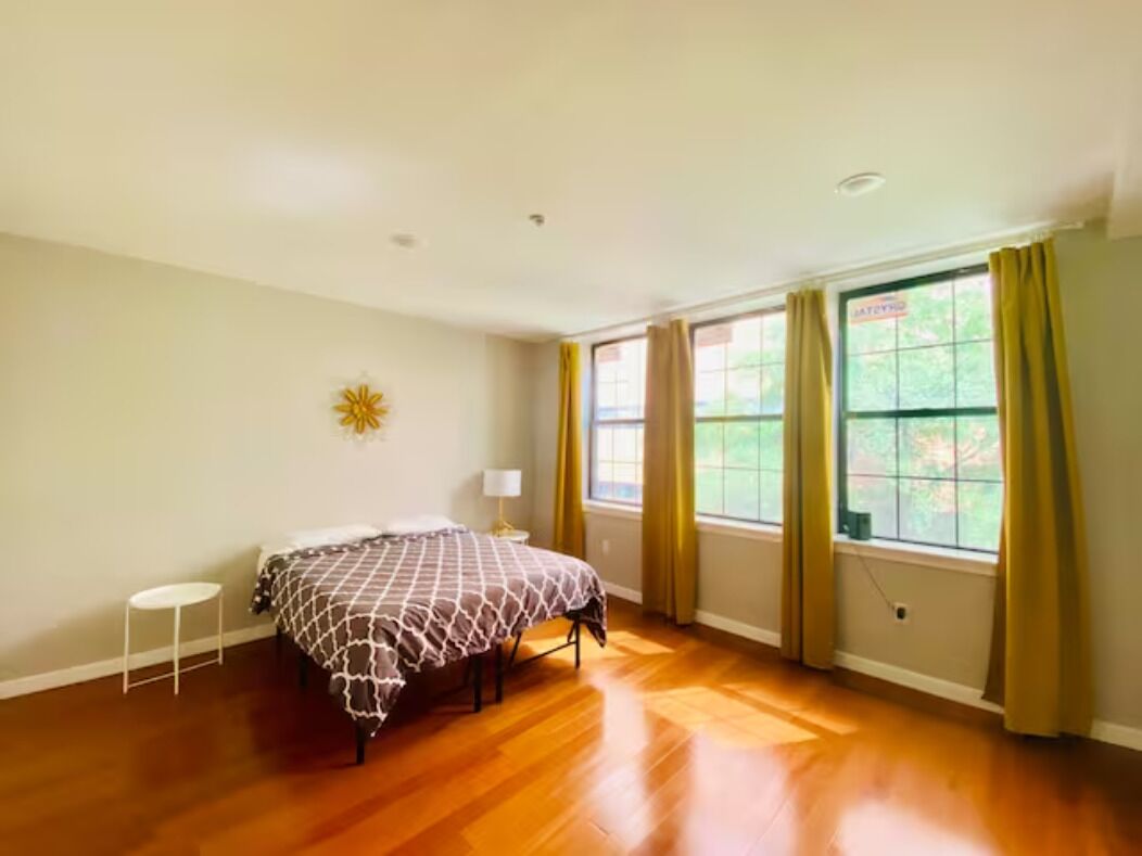 Brand New Center City Loft Apts - Apt 3