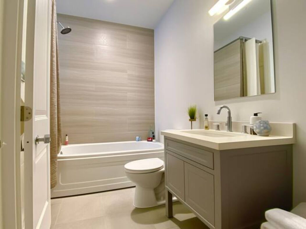 Brand New Center City Loft Apts - Apt 3