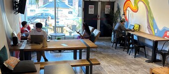 Samesun Toronto - Hostel